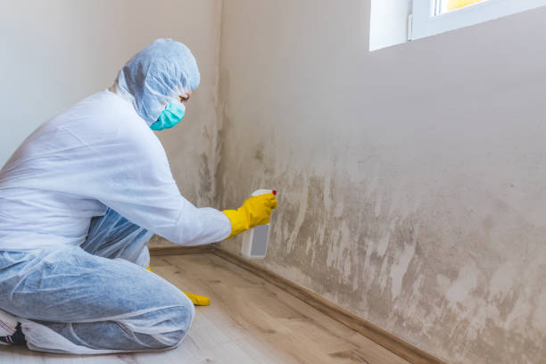 Crawl Space Mold Remediation treatment of floor joists in District Heights