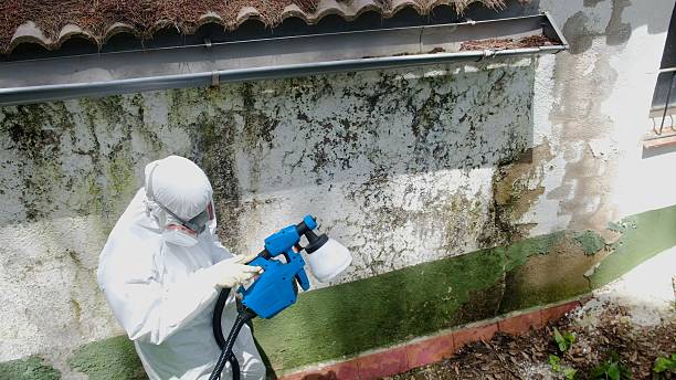 Mold Remediation service in District Heights, District Heights, MD